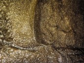 Arachnid super-web reveals the surprising life of cohabiting spiders