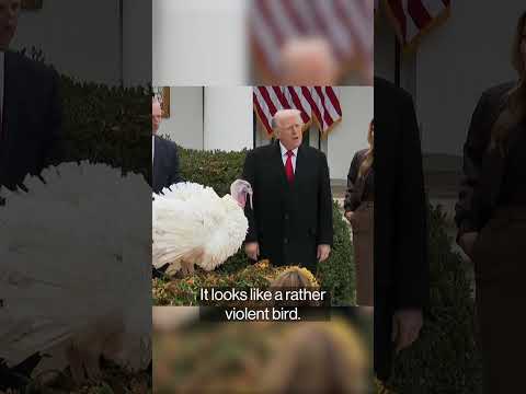 Trump pardons Thanksgiving turkeys Gobble and Waddle