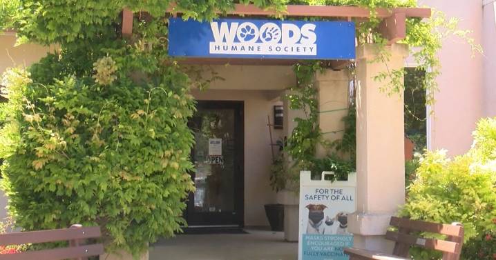 Woods Humane Society announces donation match challenge