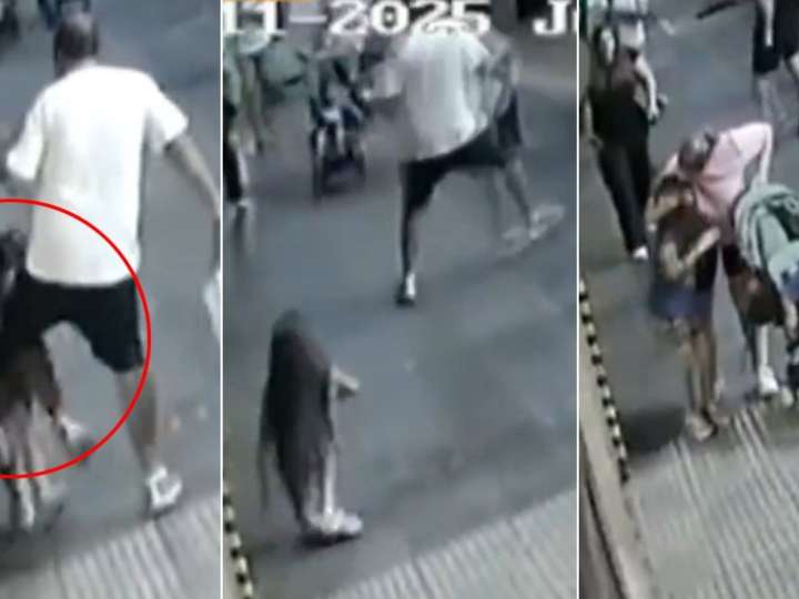 Un hombre con un carnet de discapacidad pateó en el pecho a una nena de seis años en plena calle en Palermo