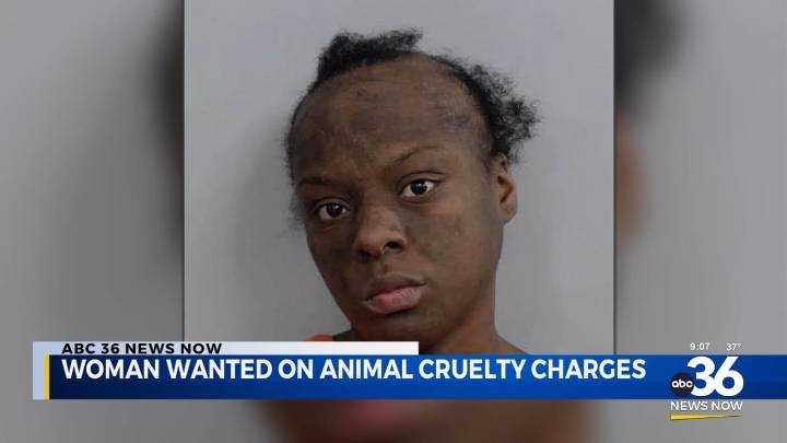 Woman wanted on animal cruelty charges