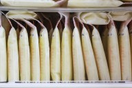 These mom TikTok influencers tap into primal parenting fears. I can explain why.