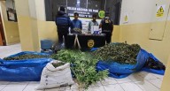 Pisco: caen “Los Bandoleros de Sur”, presuntos narcotraficantes con 65 kilos de marihuana
