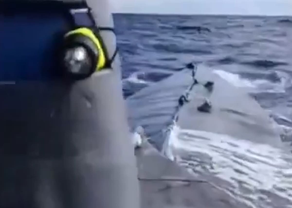 Así fue el operativo. Portugal interceptó un narcosubmarino con 1,7 toneladas de cocaína que había salido de América del Sur