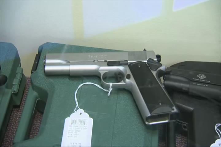 State report suggests new policies to combat gun violence and self