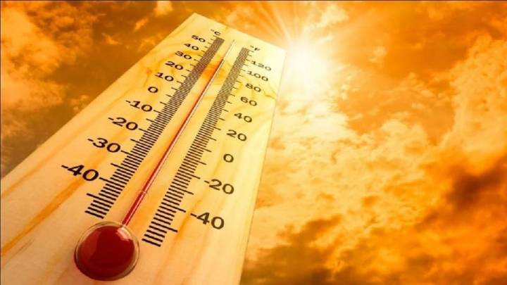 Clima en Neuquén: se espera un viernes con sol intenso y temperaturas que superarán los 30 grados