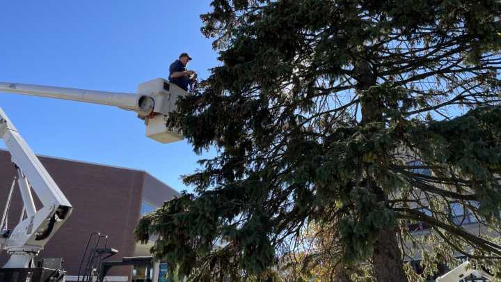 Downtown Monroe sees large turnout for 2025 Holiday Tree Lighting