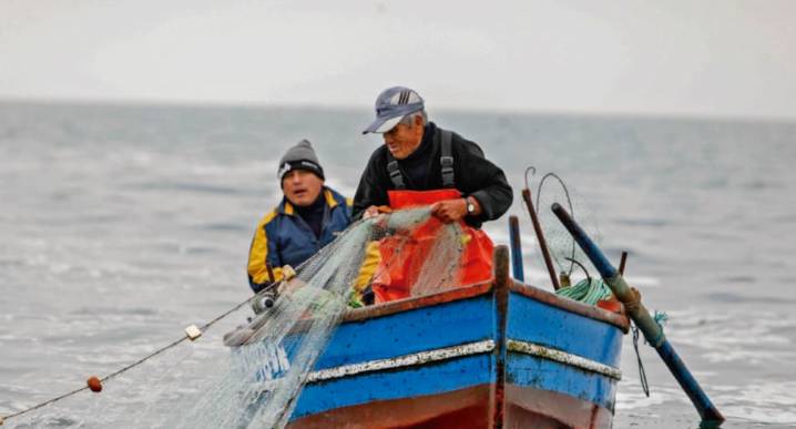 Créditos extraordinarios para agentes de la pesca artesanal de pota y perico: ¿Cómo acceder?