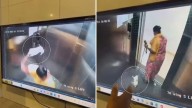 Bengaluru: Maid Caught on CCTV Killing Pet Puppy Inside Lift Sparks Massive Online Outrage