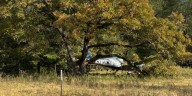 No injuries reported after small aircraft crashes in Teague due to catastrophic engine failure