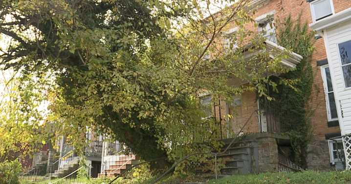 Annapolis business owner hit with Baltimore vacant property violations in costly name mix