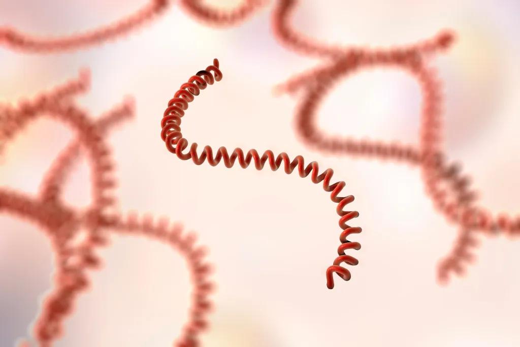 Jamaica enfrenta un brote mortal de leptospirosis tras el huracán Melissa