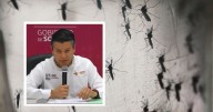 Investigan muertes relacionadas con dengue en Sonora; más del 50% de casos están en Guaymas, Hermosillo y Cajeme