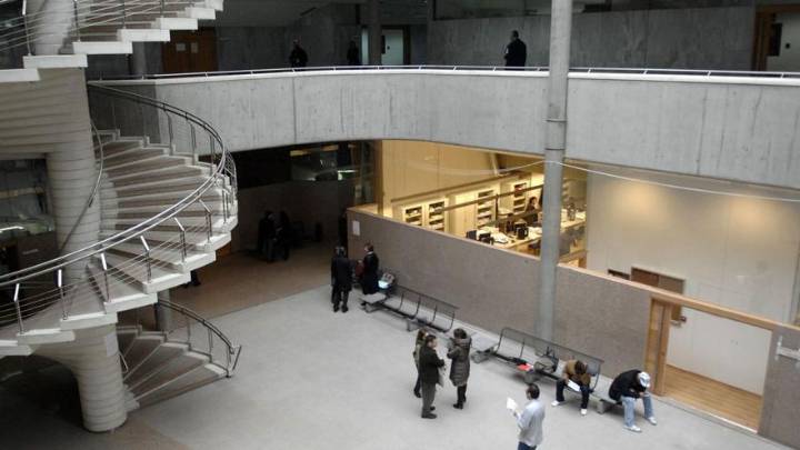 Condenado en A Coruña por maltratar a sus dos hijos: a golpes y con pulgas