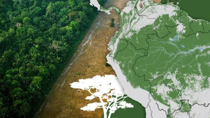 Calentamiento global. Los mapas y fotos que muestran la muerte del Amazonas y por qué el mundo debería preocuparse