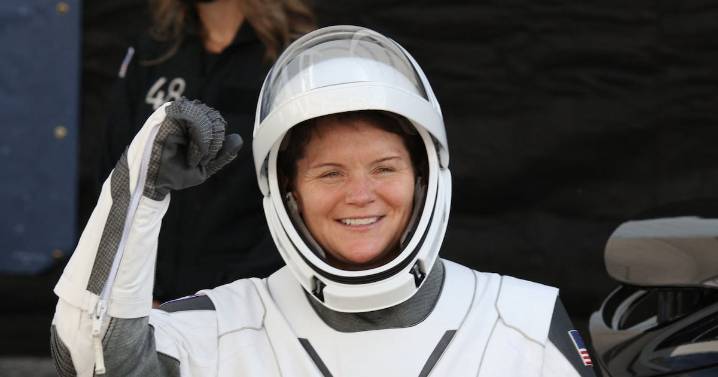 Astronaut’s Wife Admits Lying About Crime Committed in Space