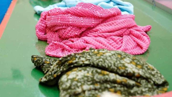 El proyecto Moda-re de Cáritas llega a Harvard