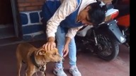 Rescatan un perro maltratado en una finca y avanza la justicia