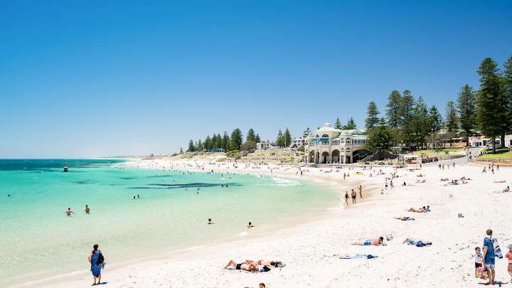 The West Australian
                                            exclusive 
                                                  The West Australian
                                                excl