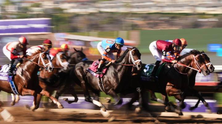 Forever Young beats defending champion Sierra Leone to win $7M Breeders' Cup Classic