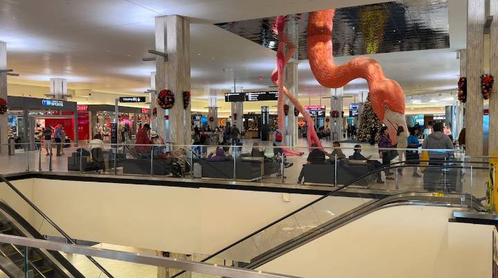 TPA expecting big Thanksgiving crowds