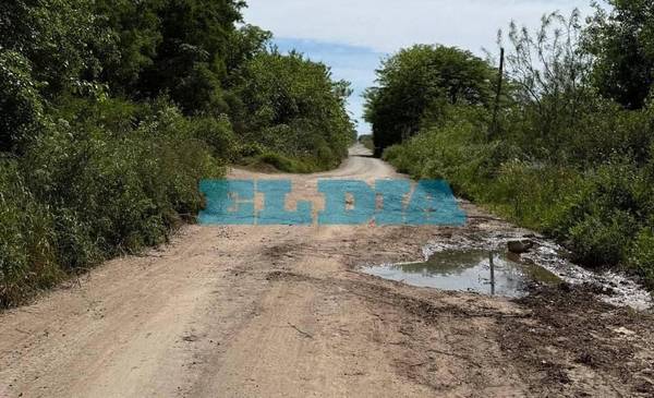 Vecinos de la zona oeste de La Plata denuncian abandono de la avenida 60: “Esto se convirtió en el Dakar platense”
