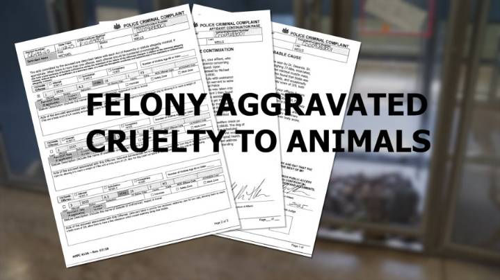 Clearfield man charged with felony in animal abuse case, already facing similar charges