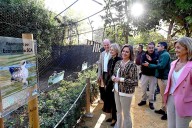 El Zoo de Jerez asume la cría y reproducción de la cerceta pardilla