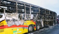 Andhra Bus Fire Tragedy: Owner Of Travel Agency Arrested