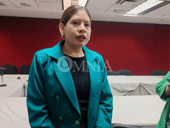 Lema del PAN suena a Ku Klux Klan, el relanzamiento es oportunismo electoral: Jael Argüelles