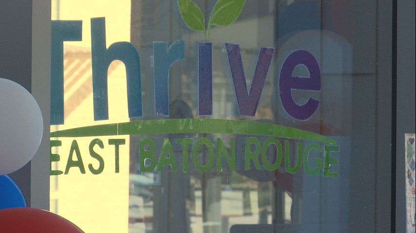 What's next for library, EBR after Thrive plan fails at voting booths