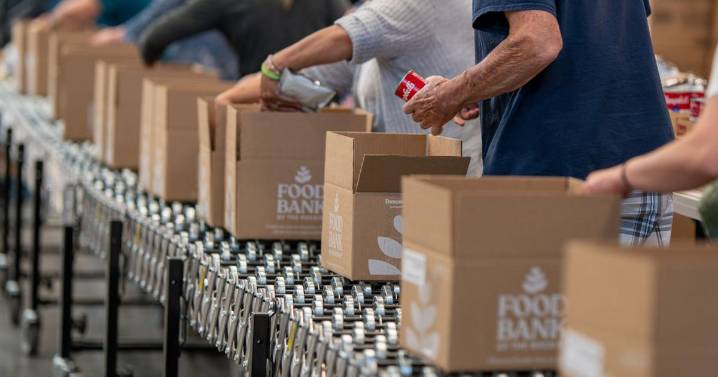 Finding help during food insecurity times