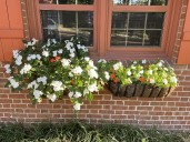 IN THE GARDEN: Two planter boxes received different treatment