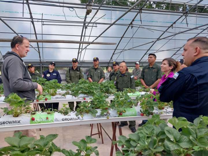 Capacitación en producción hidropónica