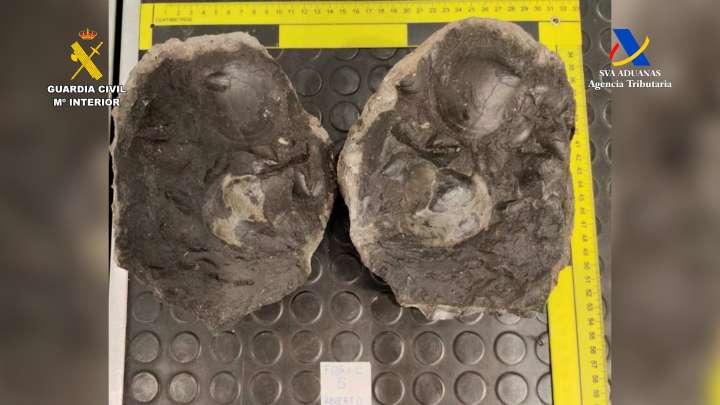 Autoridades de España Recuperan Bienes del Patrimonio Histórico de México