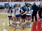 Anthony Wayne volleyball sweeps Mount Notre Dame to advance to D