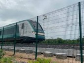 TRAS RECHAZAR AMPARO CONTRA TERMINAL MULTIMODAL DE CARGA DE CANCÚN: Acusa diputado panista al Poder Judicial de avalar la destrucción de la selva ocasionada por el Tren Maya