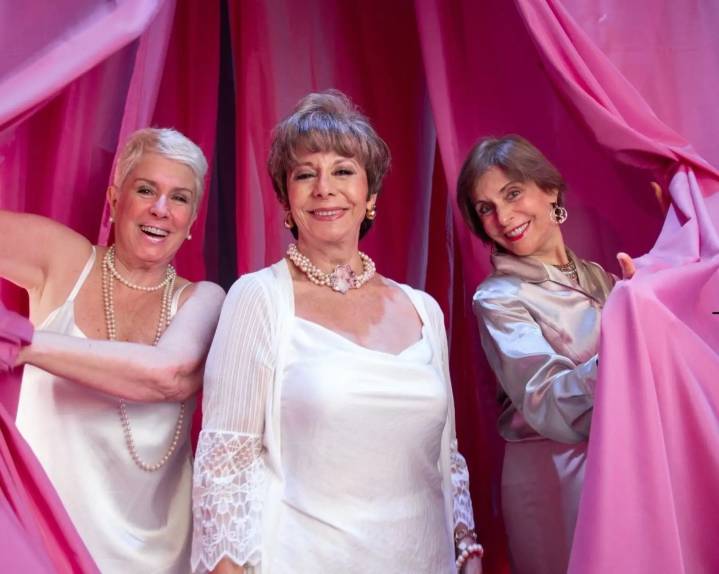 "Monólogos de la vagina" se despide del Teatro Marsano