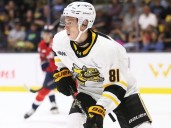 Sarnia Sting's Di Iorio, Edwards chosen for CHL USA Prospects Challenge
