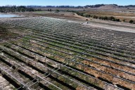 Napa Valley College’s $7.5 million solar field was once a model. Now it sits dead in the weeds