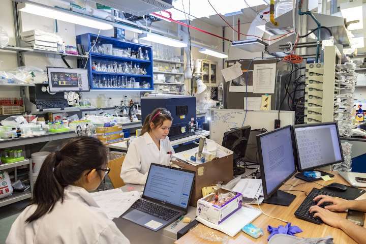 Culture eats strategy: Overcoming Canada’s innovation barrier