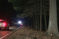 10-Year-Old Is Sole Survivor After Crash Kills Dad and 12