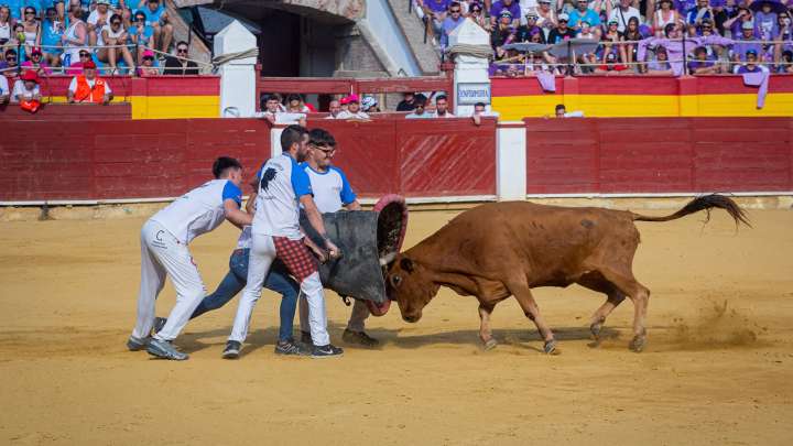 Nuevo rifirrafe en Calatayud a cuenta de la fallida corrida de las Ferias