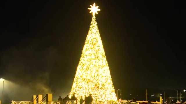 Alabama's tallest Christmas tree lights up Gadsden
