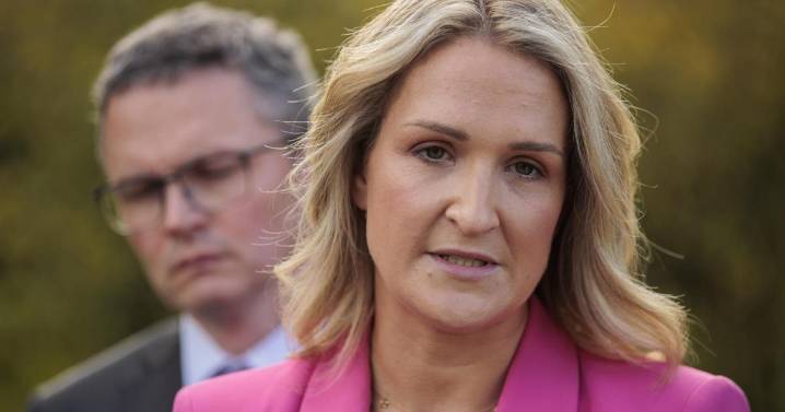 Reports from Ukraine peace talks ‘positive’ – Irish foreign affairs minister