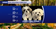 DOG WALKING FORECAST: Warm and windy today with a couple storms