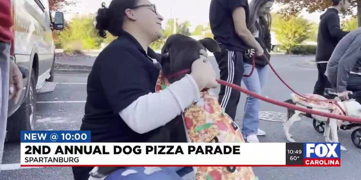 2nd annual dog pizza parade in Spartanburg