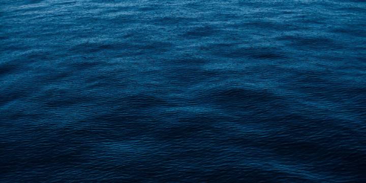 Environmental group says City of Luttrell sewage plant over