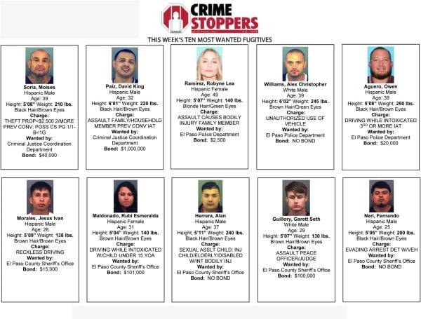 Los más buscados de la semana