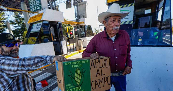 Políticos o políticas